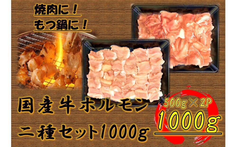 国産牛　ホルモン二種セット1000g