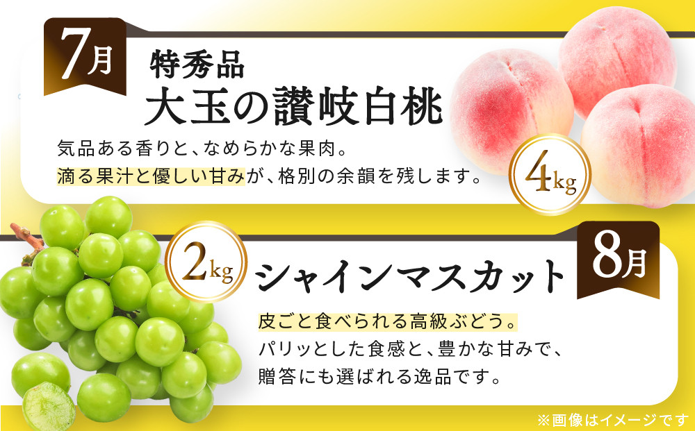 《特選プラチナコース》産直あきんど厳選フルーツ！魅惑の12回便