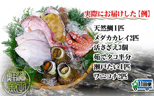 縲仙ョ壽悄萓ソ11蝗槭大卸讌ュ100蟷エ縺ョ鬲壼ア九&繧薙′驕ク縺ウ謚懊>縺滓葎縺魄ョ鬲夂峩騾∽セソス