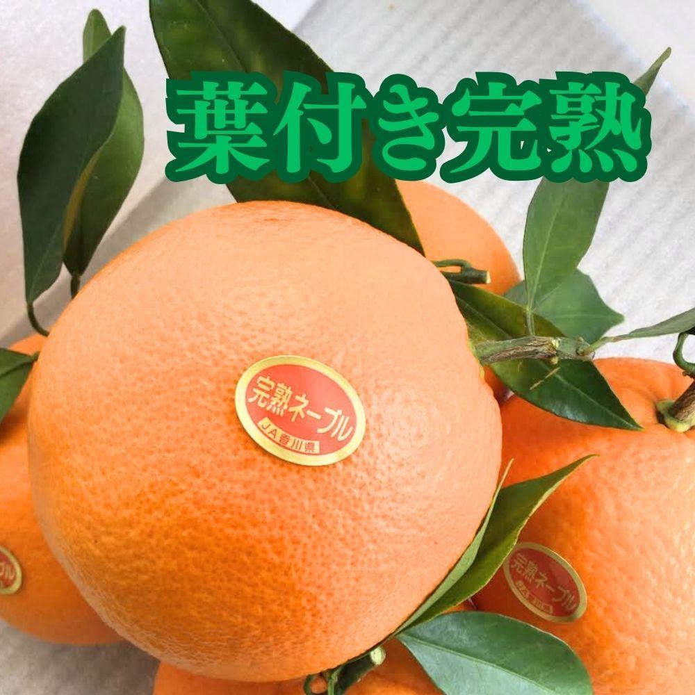 è¶å¬å®çè¢æãããŒãã« çŽ5kg ïŒ15ã21åå
¥ãïŒ