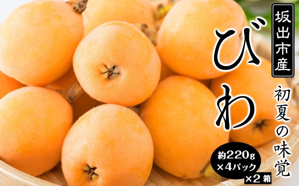 びわ 坂出市産 約1.8kg ( 4パック× 2箱 )｜初夏の味覚