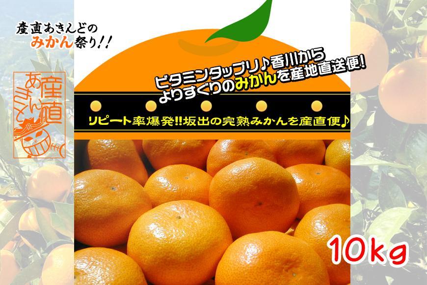 ≪先行受注≫温州みかん 香川産 約10kg ( S ～ Lサイズ ) ｜ みかん 味濃い