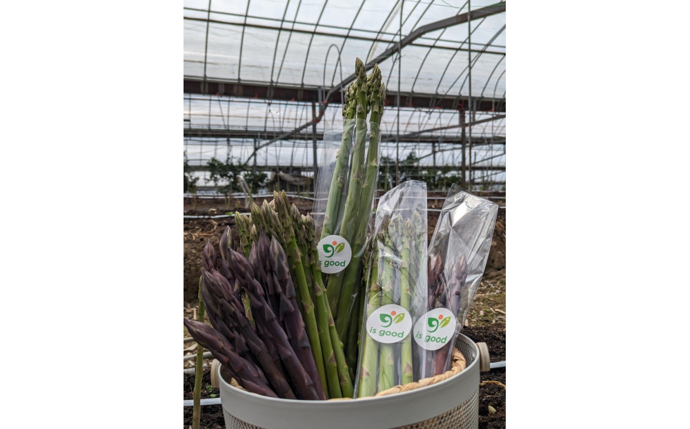 ＜2026年4月から発送＞坂出ふれあい産直市のアスパラガス「さぬきのめざめ」約1kg
