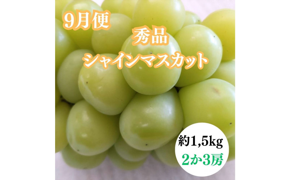 縲2026蟷エ蠎ヲ蜈郁。御コ育エ縲代仙ョ壽悄萓ソ3蝗槭大、上ョ鄒主袖縺励>譫懃黄