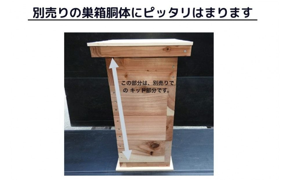 å€©ç¶ææã䜿ã£ãèªåã§çµã¿ç«ãŠããããã巣箱ïŒäžäžèéšïŒ
