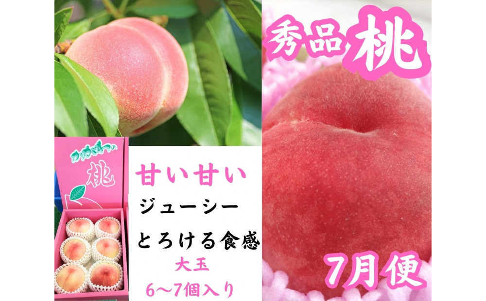 縲仙ィ6蝗槭大揩蜃コ縲蜀ャ繝サ螟上鄒主袖縺励>譫懃黄螳壽悄萓ソ