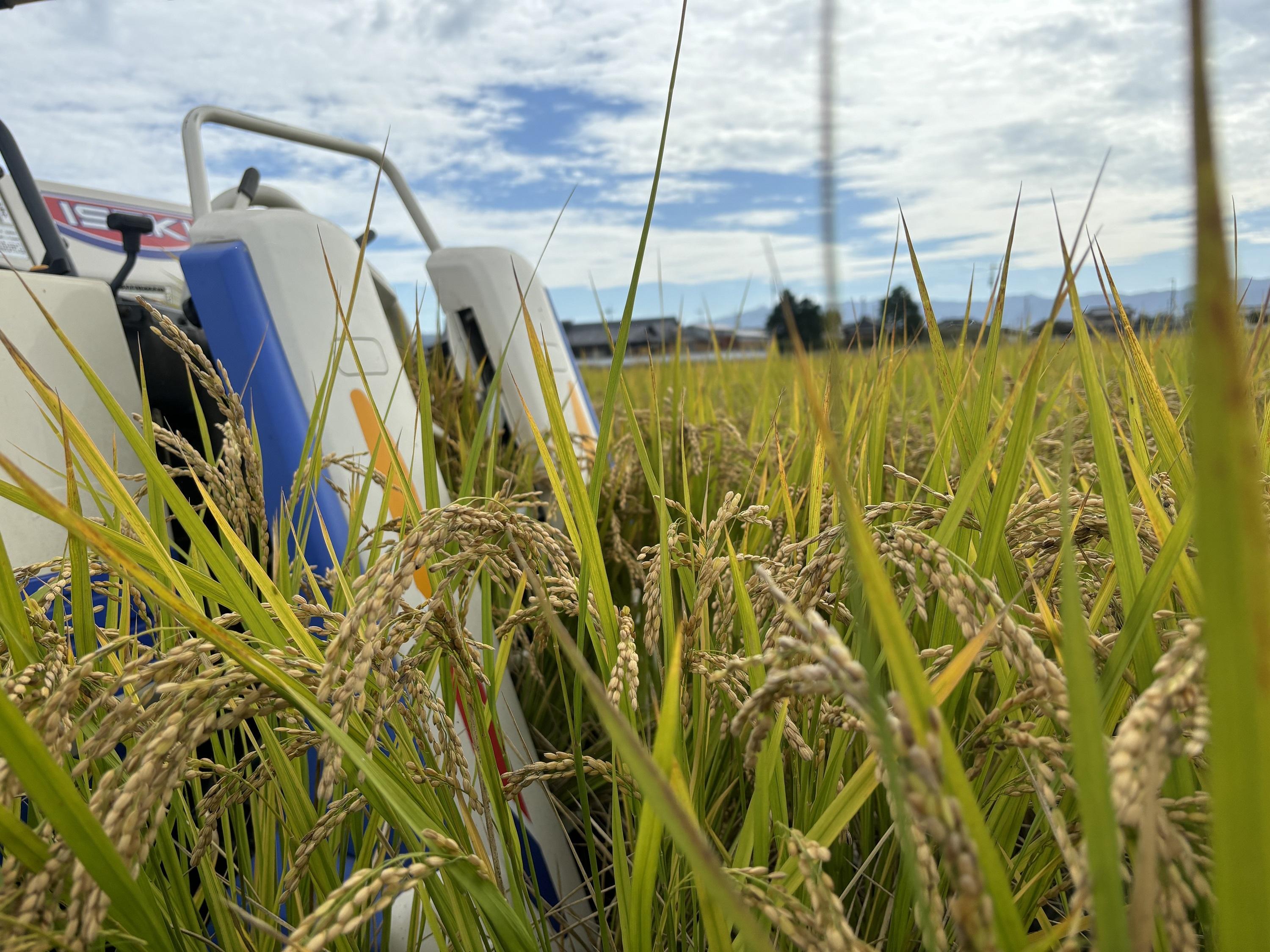 Root  Farmの令和7年度産　ヒノヒカリ白米4kg×2袋　有機JAS認証