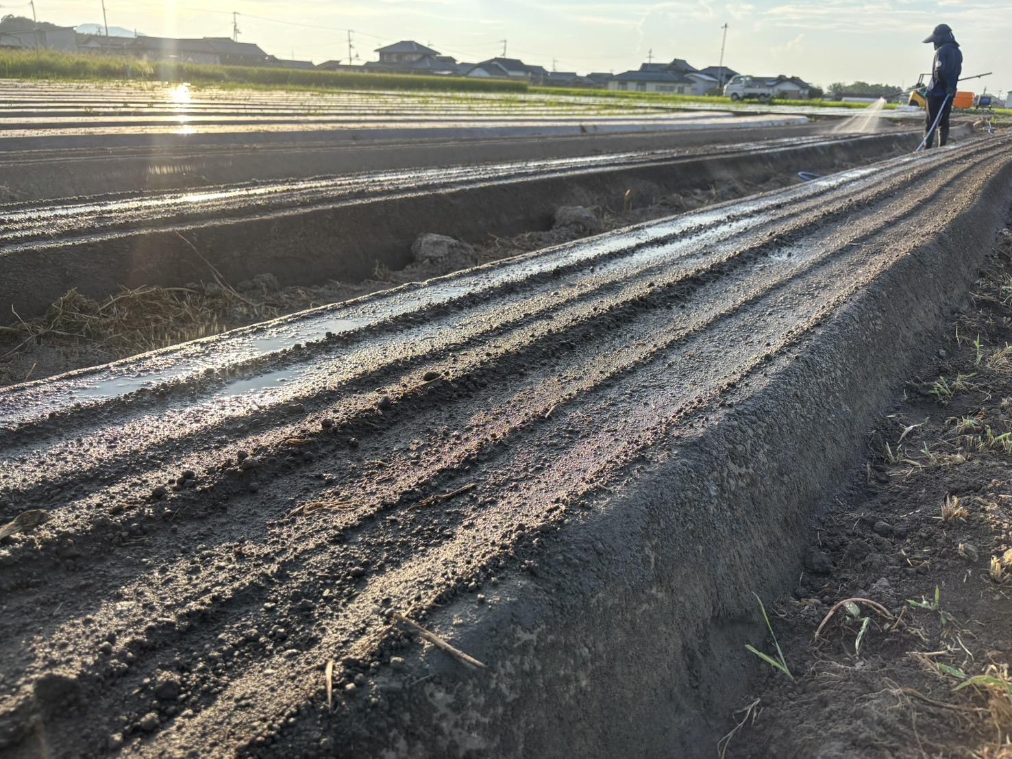 Root Farmã®å¬å£éå®ãææ©JASèªèšŒã®äººåçŽ5kgïŒ12æã2æé ãŸã§ïŒ