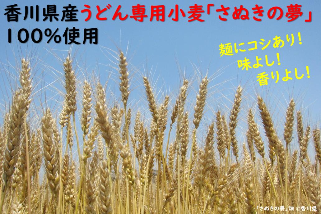 鮗コ譽/縲隶蟯舌≧縺ゥ繧薙蜊顔函縲20鬟溘そ繝繝