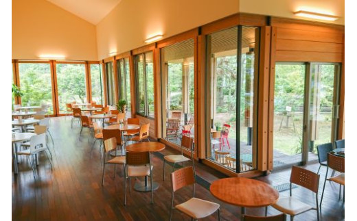 åè¡ç€Ÿããµãã®ã±ãŒãïŒããªã³ã¯ã»ãããã±ããïŒãã€ã·ã¢ããµãã¬ãåç£1ç®±ä»ãïŒãïŒ1åæ§ïŒ