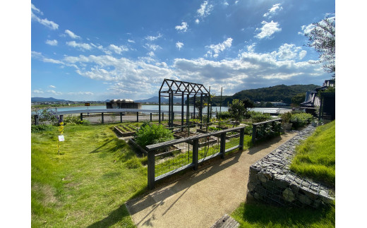 CRAFT 14 SAUCEセット（オリジナル２本、ガーリック１本、ホット１本）