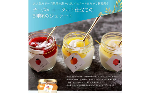 もりんの彩果の恵みじぇらりん6個入詰め合わせ