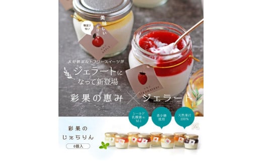 ãããã®åœ©æã®æµã¿ããããã6åå
¥è©°ãåãã