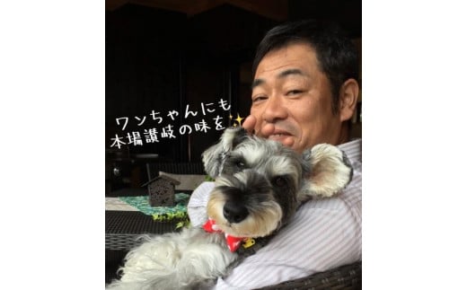 諢帷堪逕ィ繝峨ャ繧ー繝後シ繝峨Ν繧サ繝繝