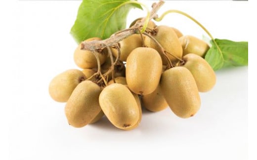 善通寺市産「キウイのたまご」約90玉　4.5kg相当