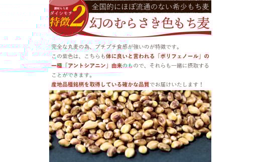 ãçç£è
å¿æŽäŒç»ïŒãè®å²ãã¡éºŠããã€ã·ã¢ãã8kg/ä¿åã«äŸ¿å©ãªãžããä»ã