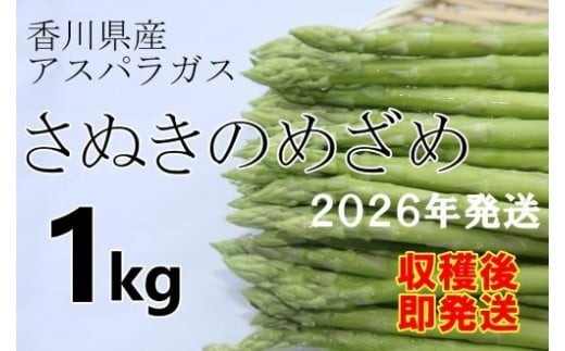 【先行予約受付開始！】2026年産　善通寺市産アスパラ｢さぬきのめざめ」１kg