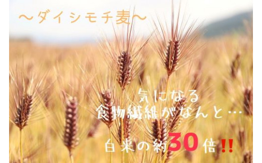 繝繧、繧キ繝「繝鮗ヲ鮗コ繧サ繝繝