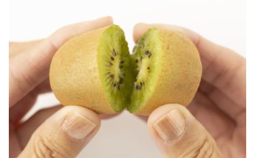 åé寺åžç£ãããŠã€ã®ããŸããïŒïŒçãçŽïŒïŒïŒïœïœ