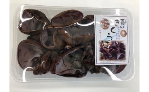 善通寺市産生きくらげ＆乾燥きくらげ