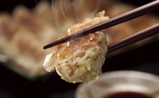 「10月30日で受付終了」たれ屋のクロワッサン餃子2セット（生餃子48個入り×2・酢醤油たれ付属）　※「ラヴィット！」「櫻井・有吉ＴＨＥ夜会」でも紹介されました！