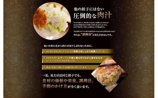 「10月30日で受付終了」たれ屋のクロワッサン餃子2セット（生餃子48個入り×2・酢醤油たれ付属）　※「ラヴィット！」「櫻井・有吉ＴＨＥ夜会」でも紹介されました！