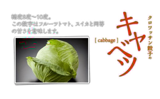 「10月30日で受付終了」たれ屋のクロワッサン餃子2セット（生餃子48個入り×2・酢醤油たれ付属）　※「ラヴィット！」「櫻井・有吉ＴＨＥ夜会」でも紹介されました！