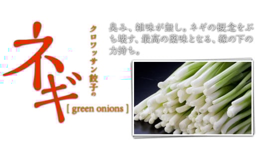 「10月30日で受付終了」たれ屋のクロワッサン餃子2セット（生餃子48個入り×2・酢醤油たれ付属）　※「ラヴィット！」「櫻井・有吉ＴＨＥ夜会」でも紹介されました！