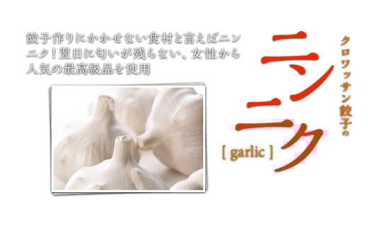「10月30日で受付終了」たれ屋のクロワッサン餃子2セット（生餃子48個入り×2・酢醤油たれ付属）　※「ラヴィット！」「櫻井・有吉ＴＨＥ夜会」でも紹介されました！