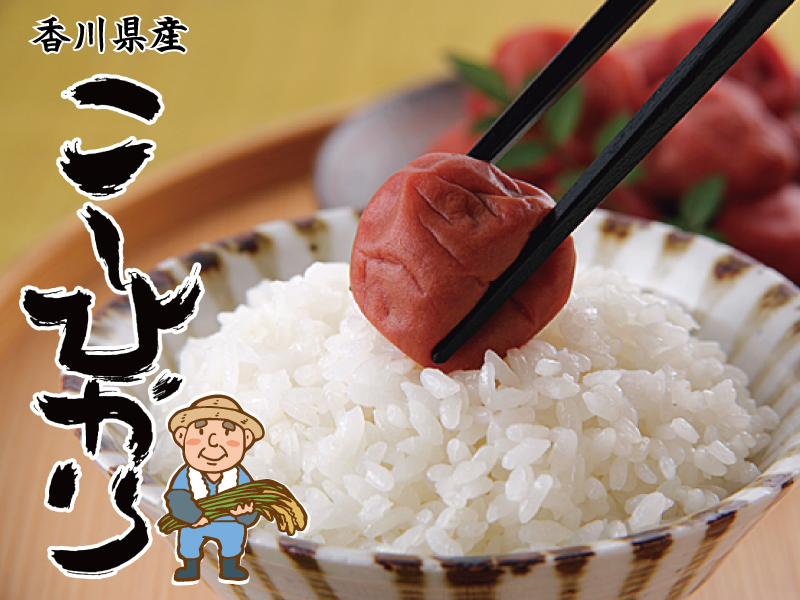 香川県産｢コシヒカリ｣ 12㎏（2kg×6袋）／２０２３年産