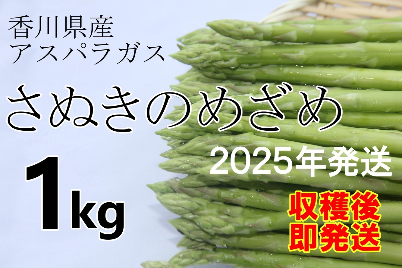 ＜先行予約受付開始！＞　2025年産　善通寺市産アスパラ｢さぬきのめざめ」１kg　【2025年3月から発送開始のお品です】