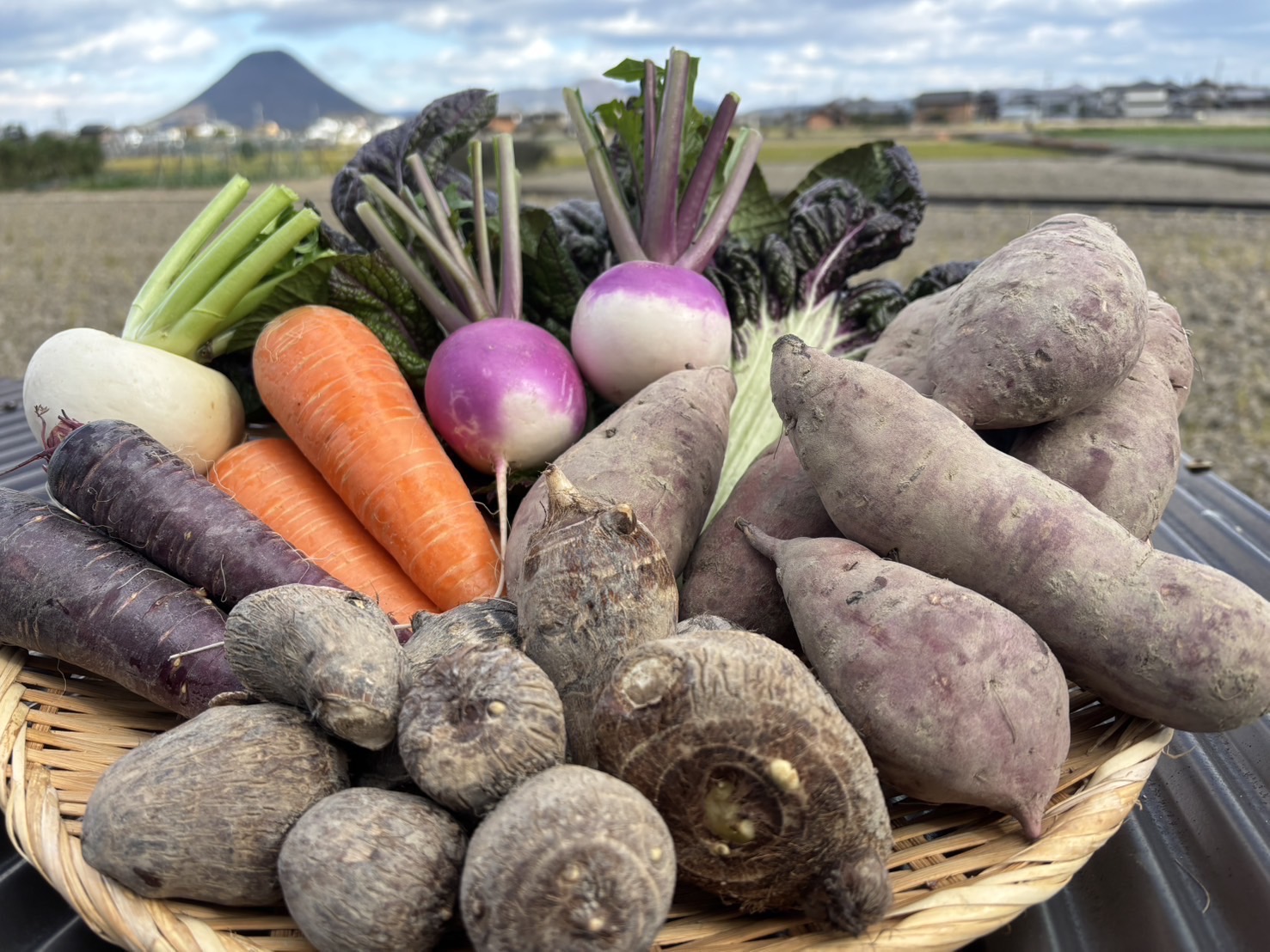 無農薬 無化学肥料 無除草剤 冬のお野菜セット（旬の有機野菜5～10種類前後）_Z2600058