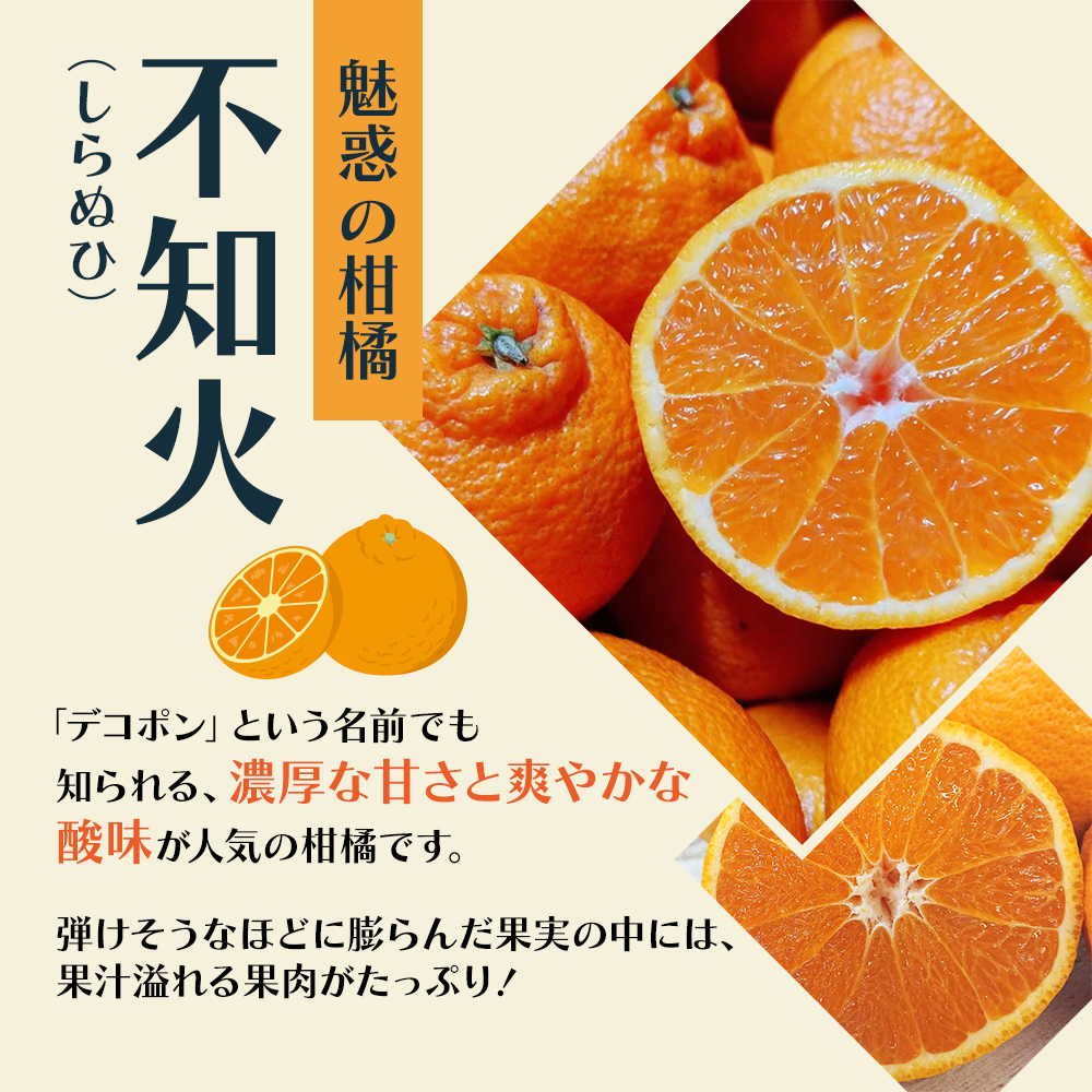 2026年先行予約 味自慢！讃岐 しらぬひ　約3kg 果物類 みかん 柑橘類 デコポン　 
