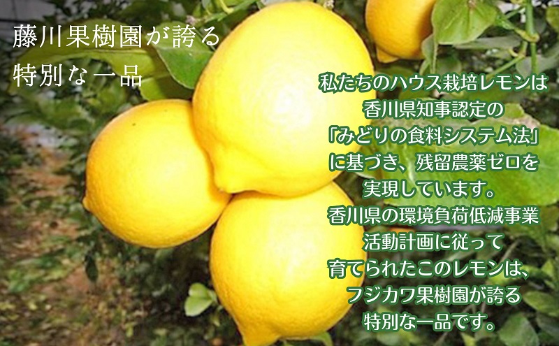 【2026年先行予約】みどり認定 ハウス栽培イエローレモン 2.3kg 国産レモン 香川 柑橘類 レモン　 