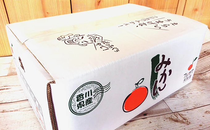 2026年秋よりお届け フジカワ温州みかん 約5kg フルーツ 果物類 柑橘類 ミカン 蜜柑 くだもの 