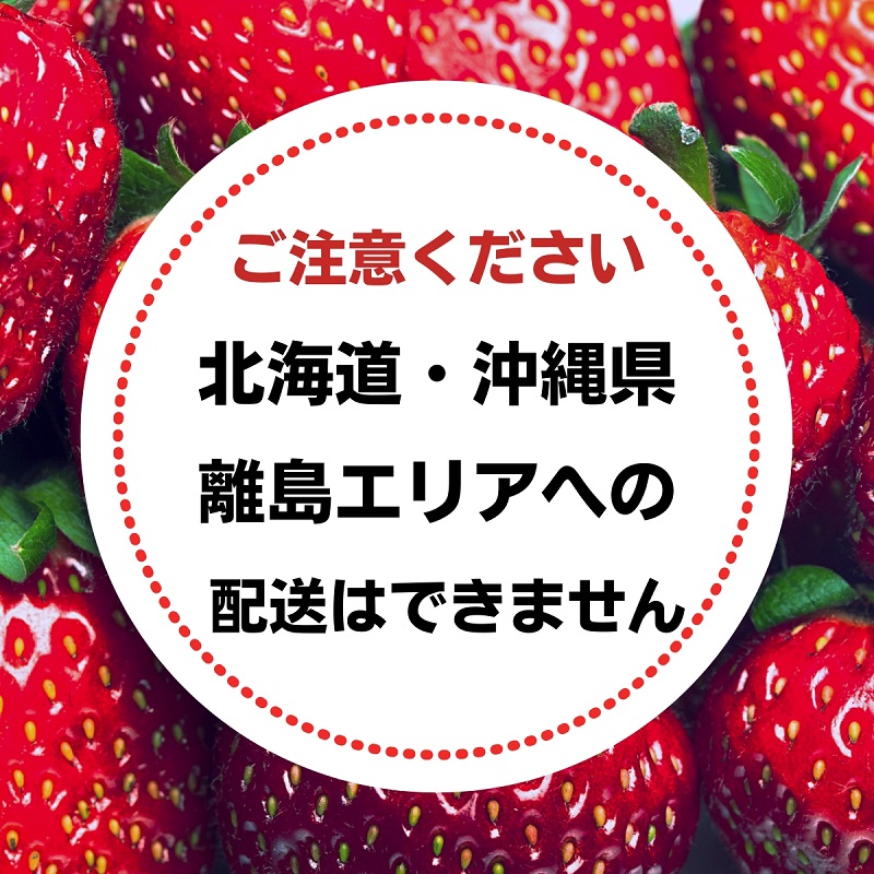福田さんちのイチゴ(さぬきひめ) 2Lサイズ ×6パック 1.5kg以上【配送不可：北海道、沖縄、離島エリア】苺 農園直送 いちご採れたて直送