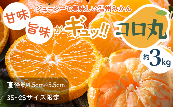 2025年秋よりお届け 瀬戸内　小みかん！コロ丸　約3kg 果物類 柑橘類 フルーツ