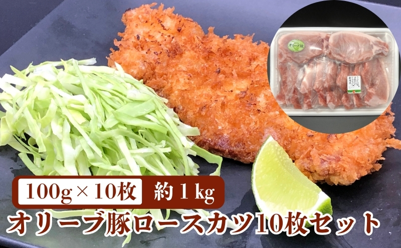 《旨味・甘味が違う》オリーブ 豚ロース 1kg トンカツ用 真空パック 10枚セット(100g×10枚) 豚肉 とんかつ 赤身のうま味 脂の甘味 ポーク 国産 冷凍 豚丼 焼き豚 豚ロースステーキ ローストポーク 豚の角煮 バーベキュー スライス 焼豚
