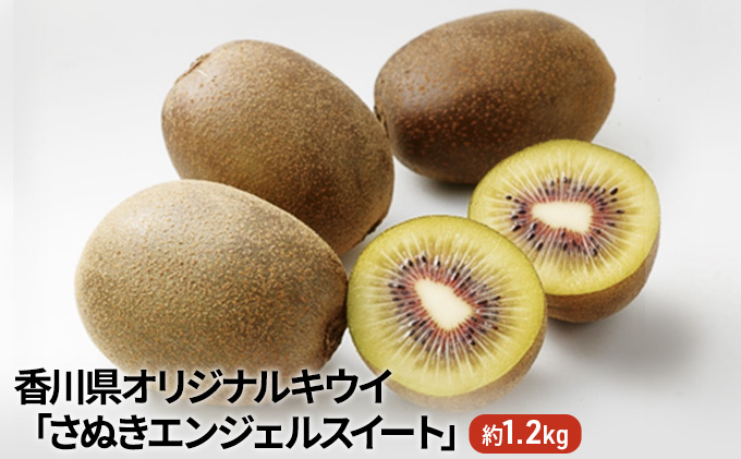 香川県オリジナルキウイ「さぬきエンジェルスイート」約1.2kg　果実 甘い 讃岐 くだもの ジューシー フルーツ 果物詰合せ