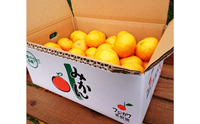 2026年冬よりお届け 高糖系石地みかん 約5kg 果物類／みかん 柑橘類 フルーツ ミカン 蜜柑 