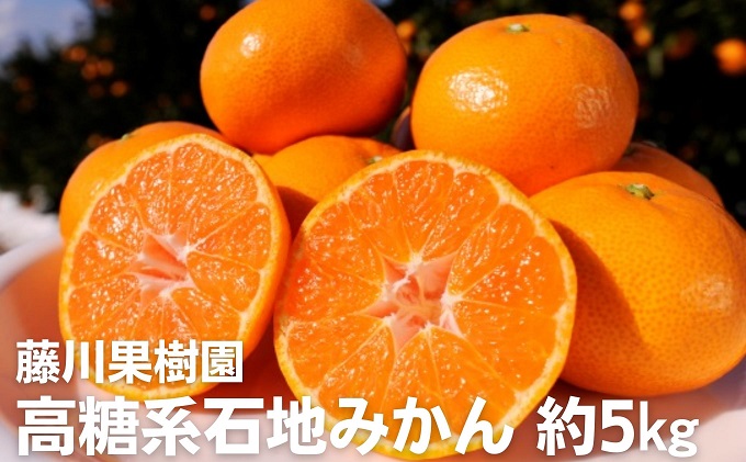 2025年秋よりお届け 高糖系石地みかん 約5kg 果物類／みかん 柑橘類 フルーツ ミカン 蜜柑