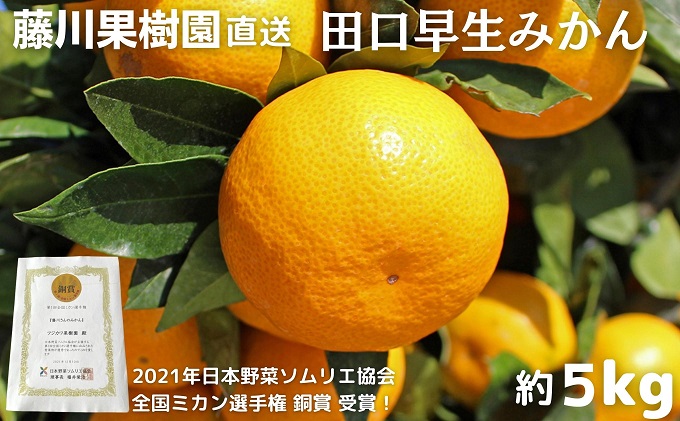 2025年秋よりお届け 田口早生みかん　約5kg 果物類 柑橘類 柑橘 ミカン フルーツ 蜜柑 くだもの