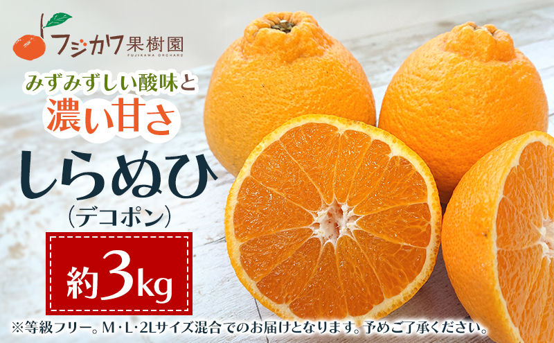 2026蟷エ蜈郁。御コ育エ 蜻ウ閾ェ諷「シ∬ョ蟯 縺励i縺ャ縺イ縲邏3kg 譫懃黄鬘 縺ソ縺九s 譟第ゥ倬。 繝繧ウ繝昴Φ縲