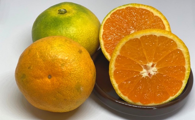 2026幎ç§ãããå±ããé«ç³åºŠæž©å·ã¿ããïŒç±è¯æ©çïŒçŽ10kg éŠå·çç£ ãã«ãŒã æç©é¡ ææ©é¡