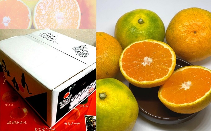 2026幎ç§ãããå±ããé«ç³åºŠæž©å·ã¿ããïŒç±è¯æ©çïŒçŽ10kg éŠå·çç£ ãã«ãŒã æç©é¡ ææ©é¡