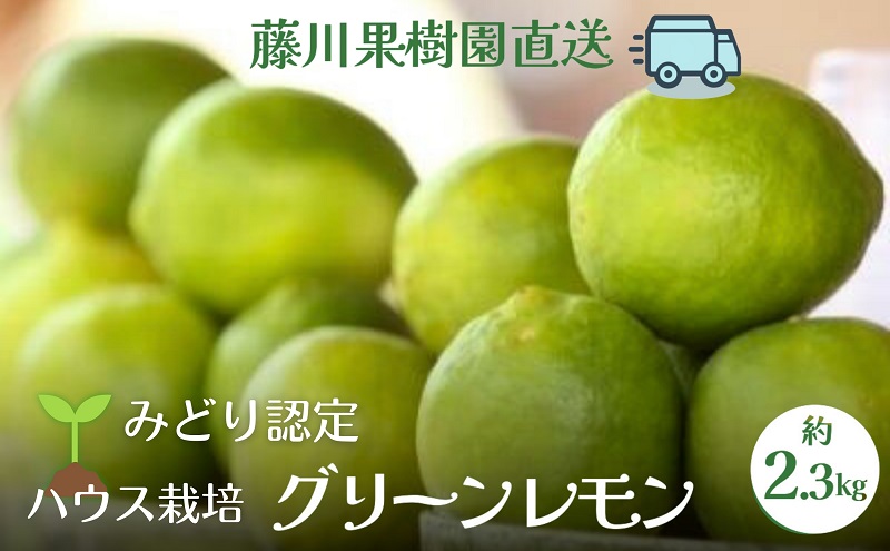 【2025年 先行予約】みどり認定 ハウス栽培グリーンレモン 約2.3kg 国産レモン 香川 果物類／柑橘類／みかん レモン　