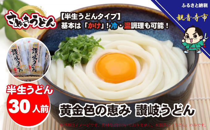 「さぬきうどん半生」 黄金色の恵み 讃岐うどん 30人前 300g×10袋 麺類