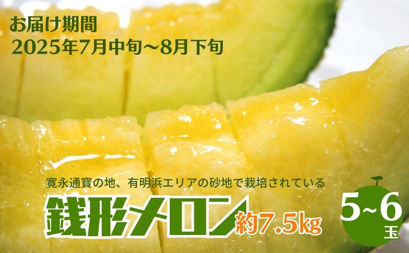 銭形メロン 5～6玉入り 約7.5kg ［アールスメロン］ 果物類 フルーツ