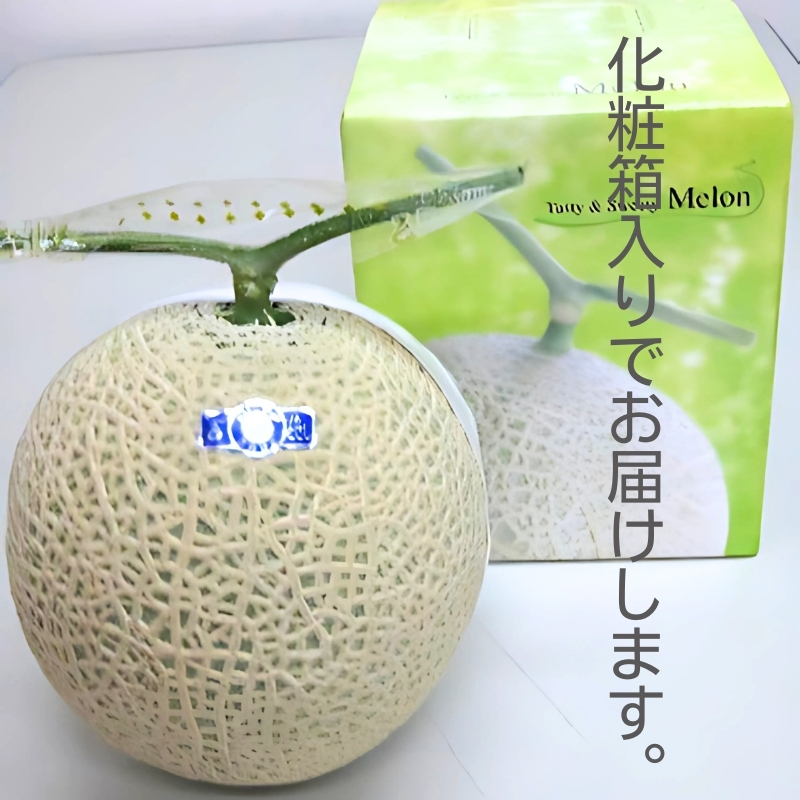 銭形メロン 4～6玉入り 約7.5kg ［アールスメロン］ 果物類 フルーツ 