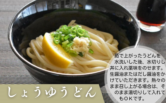 《モチモチに強いコシ》 さぬきうどん 半生 太麺 30人前（3人前×10袋） 紀州屋 香川 本場 讃岐うどん